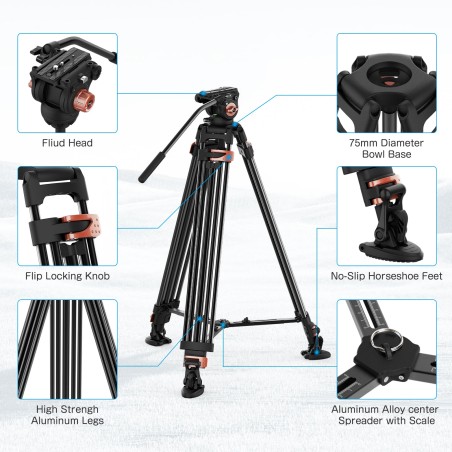 New Arrival Desview Video Tripod, 76 Inch (193 cm) Aluminium Camera Tripod with Quick Release Plate and 360° Fluid Head Heavy Du